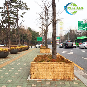 El mejor producto SEDGE MAT / Palm Mat Sedge Windbreak: ayuda a las plantas a prosperar a pesar de los vientos de invierno - Product Image 3