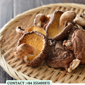 Hongos Shiitake Secos Orgánicos Detan / Hongo Comestible Cultivado de Primera Calidad / Sra. Jessi - Product Image 2