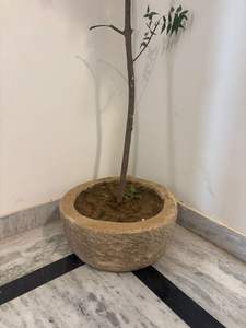 Macetas de Piedra Antiguas con Altura Ajustable, Muebles de Exterior para Sala de Estar, Macetas para Exteriores - Product Image 5