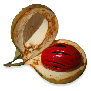 Aceite de semilla Ucuhuba - Product Image 1