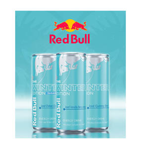 Red Bull Iced Vanilla Berry Winter Edition, Latas de 250 ml para Tiendas de Conveniencia y Gasolineras - Product Image 5