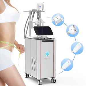 Macchina dimagrante in piedi uso salone freddo dimagrante Cryo 2 tamponi rimozione Cellulite congelamento perdita di peso