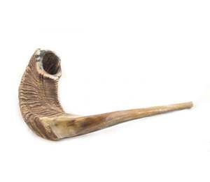 Shofar en corne de bélier naturelle de qualité supérieure, poli, instrument religieux juif, inspiré des artisans royaux, style animal, fabrication européenne sur mesure - Product Image 3