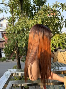 Peluca de proveedor de cabello vietnamita virgen crudo hueso recto hacer pelucas de encaje completo de cabello humano de color con precio al por mayor - Product Image 5