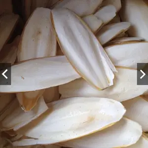 International Quality- Mineral supplements Cuttlefish bones wholesale naturalwith competitive prices in Vietnam