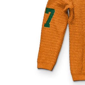 Famu University Sweatshirt Logo Drop Shoulder Streetwear 100% Coton Motif Solide Doublé Design - Product Image 2