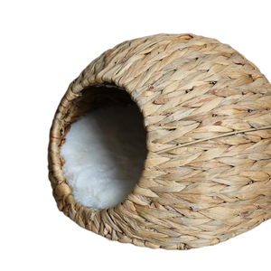 Diseño minimalista hecho a mano agua Jacinto Casa de mascotas hecho en Vietnam - Product Image 1