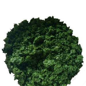 HOJAS DE YUCA VERDE CONGELADAS/BUENZA A BASE DE PLANTAS/DE ORIGEN LIMPIO/ALTA CALIDAD CERTIFICADA - Product Image 4