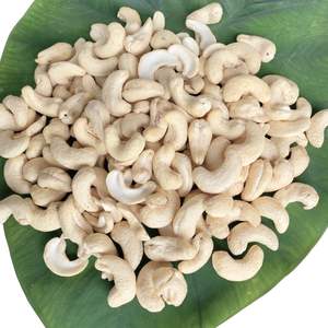 เม็ดมะม่วงหิมพานต์2025เม็ดมะม่วงหิมพานต์จากเวียดนาม W320เวียดนาม W240เม็ดมะม่วงหิมพานต์พร้อมส่ง - Product Image 1