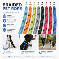 Laisse pour chien en nylon réfléchissant, robuste et durable pour la sécurité nocturne et les promenades en extérieur