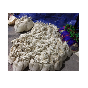 Éventails à main feuille de palmier artisanat tenture murale ventilateur de palmier tissé Boho décor à la maison décoration de mariage plage ventilateurs de mariage - Product Image 1