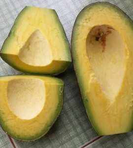 Aguacate Congelado | Mejor Precio Alta Calidad 100% Aguacate Orgánico Para Batidos De Vietnam - Product Image 2