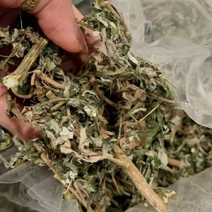 Hojas de Artemisa Secas Premium 100% Puras, Hojas Sueltas en Bolsa con Cierre de 4oz 200g, Hojas y Tallos Cortados, Vietnam Angle - Product Image 2