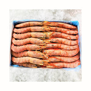 GROS CREVETTES ROUGES CONGELÉES QUALITÉ SUPÉRIEURE - Product Image 1