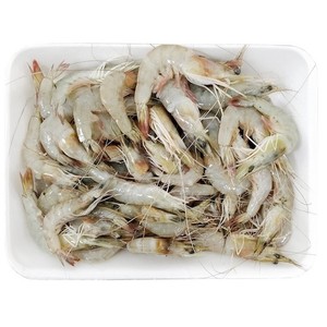 Vente en gros de délicieux fruits de mer frais naturels de qualité Alimentation saine Crevettes d'eau douce - Product Image 4