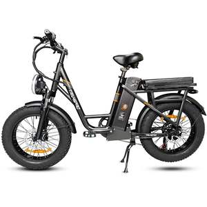 Bicicleta Eléctrica E21 2025 de 48V 750W, Nueva, de Grado Industrial, con Personalización OEM para Repartidores - Product Image 4