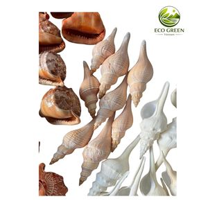 Concha de Caracol Natural Amarilla Hecha a Mano para Decoración de Paisajes, Espiral Larga, Especímen Natural, Arte con Tacto Real - Product Image 5