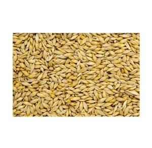 Harina de Soja Fermentada de Primera Calidad, Alta en Proteínas, para Alimentación Animal, Peces, Cerdos, Caballos, Ganado, Perros, 60-65% de Proteínas, Bolsa de 25 kg - Product Image 2