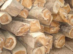 Grumes carrées en teck de haute qualité-Qualité meuble écologique - Product Image 6