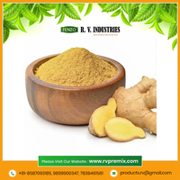 Préparation instantanée de thé au gingembre biologique en vrac, emballage OEM privé, sachet de 1 kg, poudre mélangée fraîche, fournisseur indien Fenzo