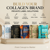 Poudre de peptides de collagène hydrolysé en sachets OEM, mélange de collagène bovin pour boisson