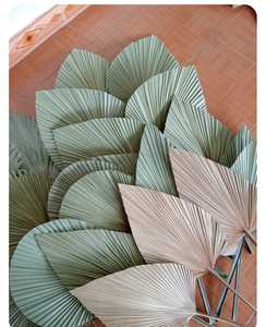 Buen precio para la decoración colgante de pared de hoja de palma de Vigifarm Home and Shop Decor Materials Viet Nam Export Products - Product Image 4