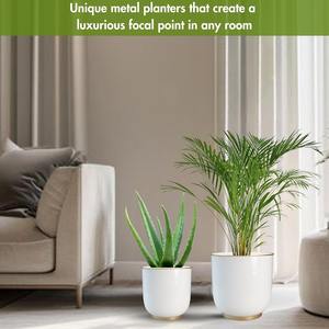 Pot de fleurs blanc avec motif doré pour la décoration moderne de la maison, parfait pour les plantes d'intérieur, le salon, le dessus de table et une présentation élégante - Product Image 5