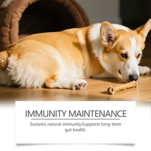 OEM/ODM Vitaminas Masticables <span class=keywords><strong>para</strong></span> Cachorros y Gatitos, Suplemento Probiótico <span class=keywords><strong>para</strong></span> el Equilibrio Intestinal, con Salud Articular y Frutas Mixtas - Product Image 3