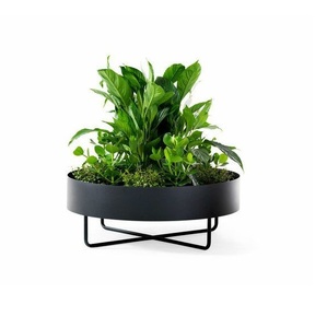 Maceta decorativa de pie para suculentas, soporte de flores para suelo, maceta redonda para interiores y exteriores con soporte de Metal plegable, Juego de 3 - Product Image 4