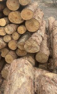 Vietnamese Common Wooden Piles for <b>Garden</b> <b>Decoration</b> and Accessories - Product Image 4