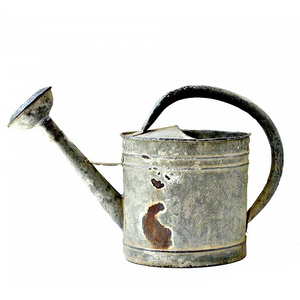 Fabricant et fournisseur de arrosoir en métal fini rustique naturel personnalisé nouveau design arrosoir galvanisé en gros - Product Image 3