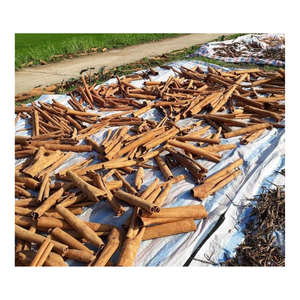 Especias de corteza seca de canela Cassia seleccionadas de Vietnam Embalaje a granel disponible para pedidos mayoristas globales - Product Image 6