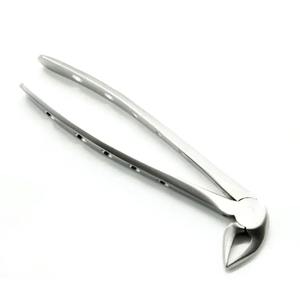 Fórceps de extracción de Instrumentos dentales de alta calidad Fórceps de extracción dental en caja de embalaje de calidad superior - Product Image 3