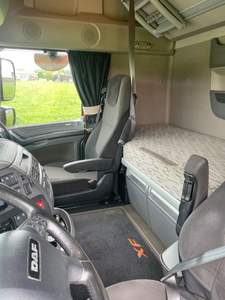 DAF XF 105 (Transport d'animaux/chevaux) - Product Image 5