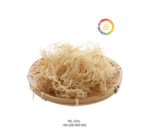 100% orgánico musgo de mar crudo gran cantidad seca con bolsa de proceso AD embalaje nuevo modelo Vietnam precio competitivo Zina origen - Product Image 1