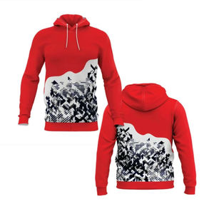 Sweat à capuche pour homme en gros, polaire, manches longues, simple, streetwear, design et logo personnalisés, tissu de haute qualité 400GSM - Product Image 1