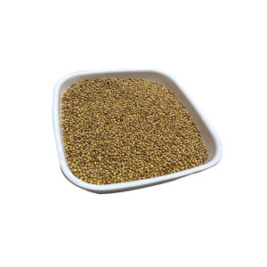 Berseก็ Clover | ปริมาณโปรตีนสูงสำหรับฟาร์มนม - Product Image 3