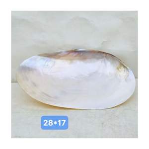 Plato de nácar barato personalizado para ensalada y pastel bandeja de lujo para hotel, restaurante y bar hecha de concha marina natural - Product Image 3