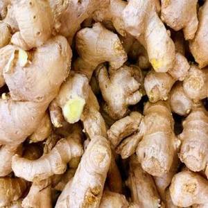 Gingembre en gros pour l'exportation, autres légumes frais, gingembre 150 grammes, 200 grammes et plus à vendre - Product Image 1
