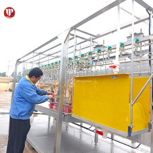 Équipement de Découpe de Poulets Local aux Philippines, Ligne de Production de 300 à 800 Poulets, <span class=keywords><strong>Prix</strong></span> Bas, Aucun Installation Requise - Product Image 6
