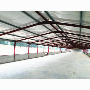 Nome de galinha de aves design casa - Product Image 3