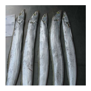 Pescado Entero Congelado Fresco con un Máximo de 0.05% de Humedad y Color Plateado Natural - Product Image 5