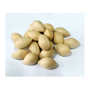 Noix de ginkgo pelées, brutes et décortiquées, fournisseurs en gros de ginkgo biloba, meilleur prix, noix de ginkgo séchées de qualité supérieure à vendre - Product Image 3