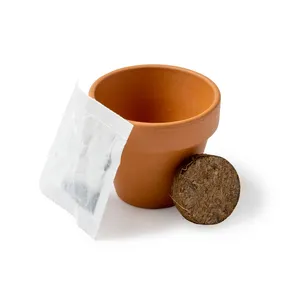 Vaso per Fiori Ecologico Terme per Regali Promozionali e Aziendali - Product Image 1