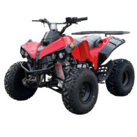 Quad à quatre roues 49cc essence/électrique pour enfants MINI ATV en matériau ABS léger et durable