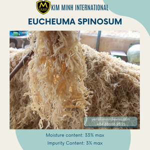 ALGA EUCHEUMA SPINOSUM SECADA DE ALTA CALIDAD PARA EXPORTACIÓN DESDE VIETNAM AL MEJOR PRECIO - Product Image 3
