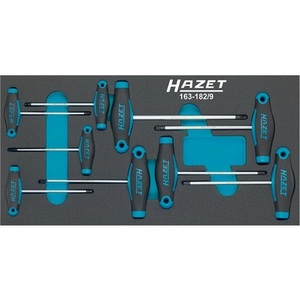 HAZET 163-182/9 9-Piece Screwdriver <b>Tool</b> Module Set - Product Image 1