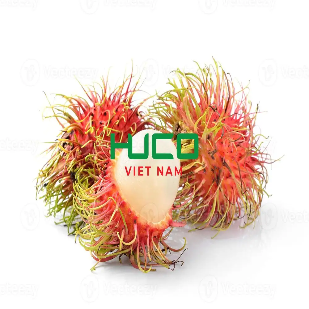 Rambutan frais biologique de qualité supérieure, vente en gros, prix bon marché, haute qualité du Vietnam