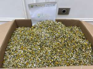 Thé aux herbes à la camomille biologique de qualité supérieure, fleurs de camomille séchées de haute qualité, style vintage, approvisionnement en gros pour enfants - Product Image 1