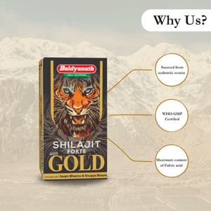 Shilajit Forte con oro Baidyanath - Product Image 4